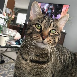 Meet your Posher, Eva